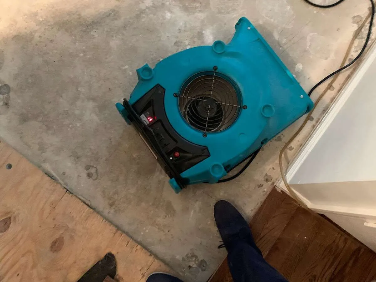 Air mover drying subfloor during Leak Detection & Repair in Newberry